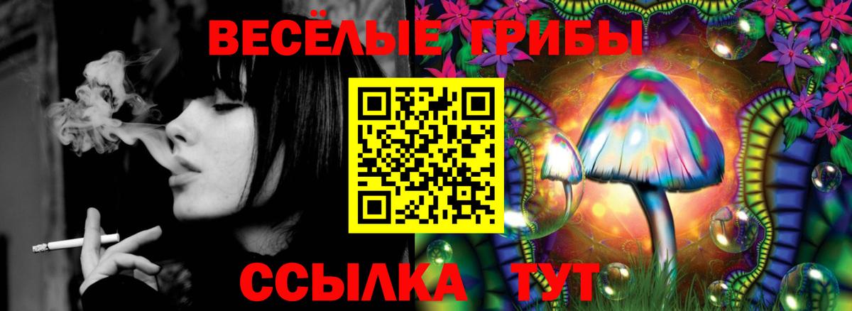 Гагарин  купить  сайты  Вход с VPN  Галлюциногенные грибы прущие грибы 